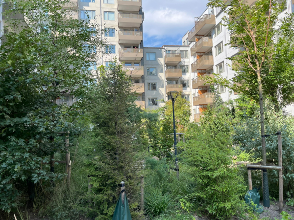 Mikroskog på innergård