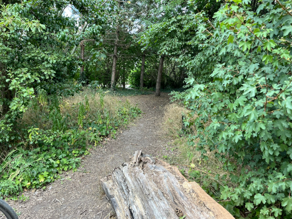 Mikroskog på allmän platsmark