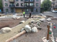 Gårdlekotop i Västertorp